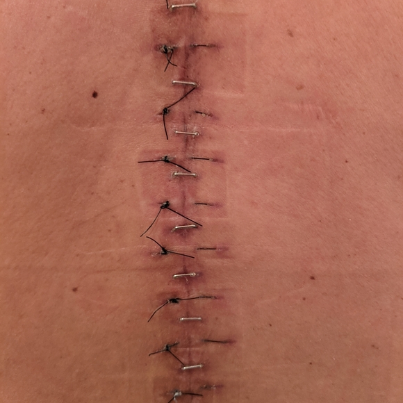 Meet your Posher, Tessie - Picture 9 of 16